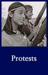 Protests (ARC ID 594285)