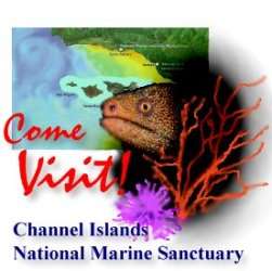 Visit the Channel Islands

Marine Sanctuary