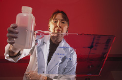Scientist conducting research
