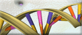 DNA strand