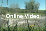 Bankfull stage online videos