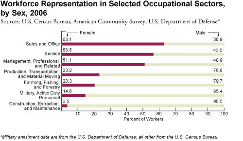 Bar graph: Workforce Representation in Selected Occupational Sectors, by Sex, 2006