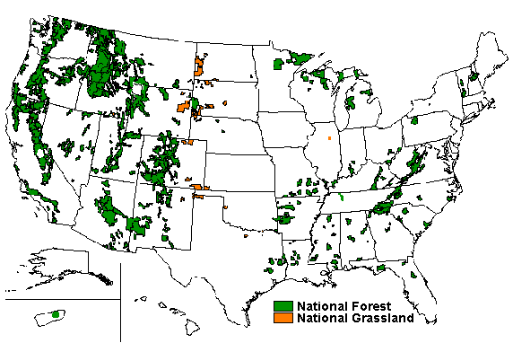 No National Forest System lands near here.