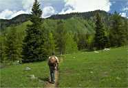 [photo] a hiker with backpack on wilderness trail in Mt. Zirkel Wilderness, Colorado 