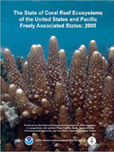 Coral Report Cover