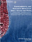 Environmental and aesthetic impacts of small docks and piers: workshop report