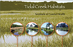 cover of Tidal Creek Habitats: Sentinels of Coastal Health