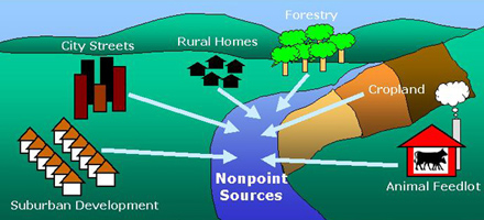 graph of nonpoint pollution