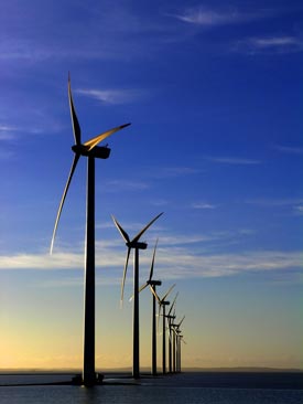 Photo of a wind farm on a misty morning.