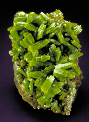 green Pyromorphite crystals
