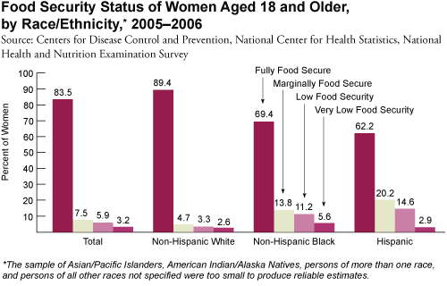 Bar graph: Food Security Status of Women Aged 18 and Older, by Race/Ethnicity, 2005–2006