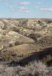 Image of Dakota Prarie National Grasslands in North Dakota.