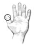Drawing of an open hand with a circle drawn around the tip of the thumb to show what a serving size of 1 tablespoon looks like. 