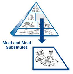 An enlarged drawing of the meat and meat substitutes group below a drawing of the diabetes food pyramid. The enlarged drawing is labeled meat and meat substitutes. The section includes drawings of a wedge of cheese, a piece of chicken, a whole fish, a chicken drumstick, and a jar of peanut butter.