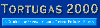 Tortugas 2000 Banner