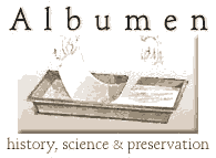 Albumen