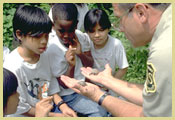 Photograph of Forest Service employee in uniform showing something to a small group of children.