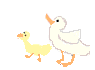 cartoon ducks