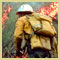 Photograph of wildland firefighter working near flames.