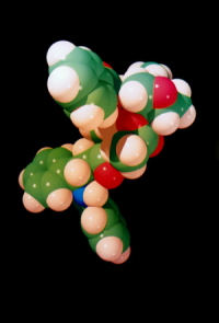 Taxol Molecule