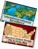 Seasonal Flu Activity Map