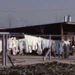 Community clothesline.