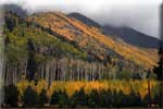 [photo] Lockett Meadow on Oct. 4, 2008