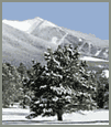 [Photo] of the San Francisco Peaks in winter