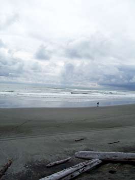 Cannon Beach, Yakutat, Alaska