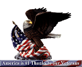 Eagle - America is number 1, Thanks to our Veterans.