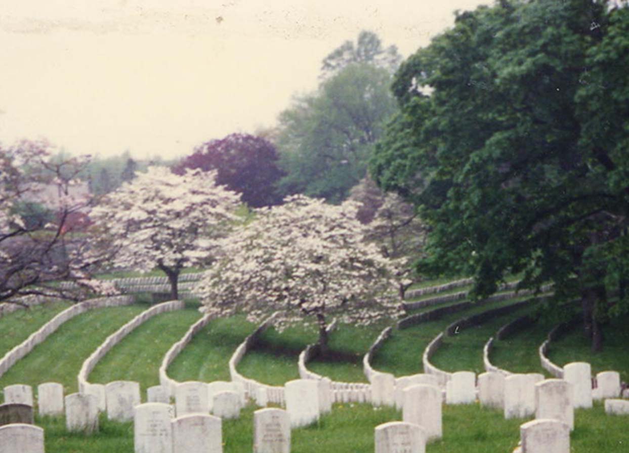 Photo of upright markers aligned in semi-circle rows. Colorful trees of Spring are shown in the background.