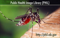 Public Health Image Library (PHIL)