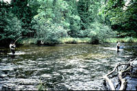 Pere Marquette River