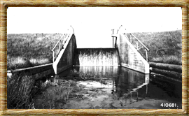 7-23-1941 Minnie Lake Dam completed by White River CCC Camp in 1940. Creates 100 acres of productive waterfowl habitat. White Cloud RD Manistee NF