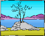 Drawing of a leafless shrub growing from a rock with a lake in the background.