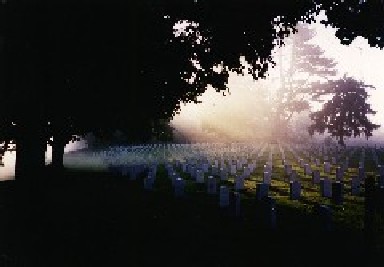 A photo of upright headstones in a misty surrounding of trees as the morning sun rises in the background.