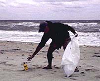 beach trash pickup picture