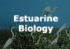 Estuarine Biology
