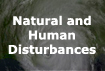 Natural and Human Disturbances