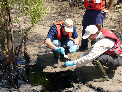 Two scientists scoop oil samples at south Belle Chase on the west shore levee of the Mississippi River.