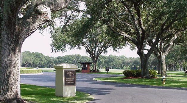 A picture of willow trees landscaped along the entrance road to Bay Pine's National Cemetery.