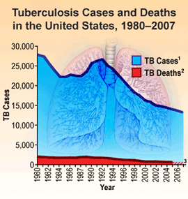 Tuberculosis Cases and Deaths in the United States, 1980 - 2007
