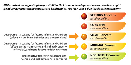 NTP conclusions regarding the possibilities that human development or reproduction might be adversely affected by exposure to bisphenol A. The NTP uses a five-level scale of concern.