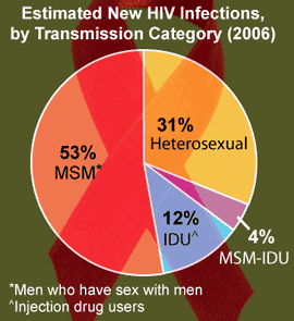 Graph: Estimated New HIV Infections, by Transmission Category (2006)