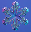 Snowflake photo 10