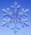 Snowflake photo 2