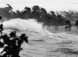 Photo: rough wave crashing on shore with palm trees.