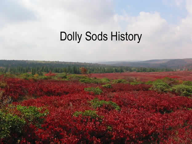 Photo of Dolly Sods Fall Colors