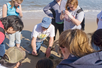 A class learning on a field trip to the beach.