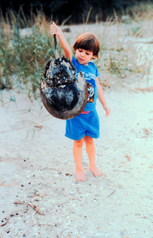 A young naturalist inspects an empty horseshoe crab shell.